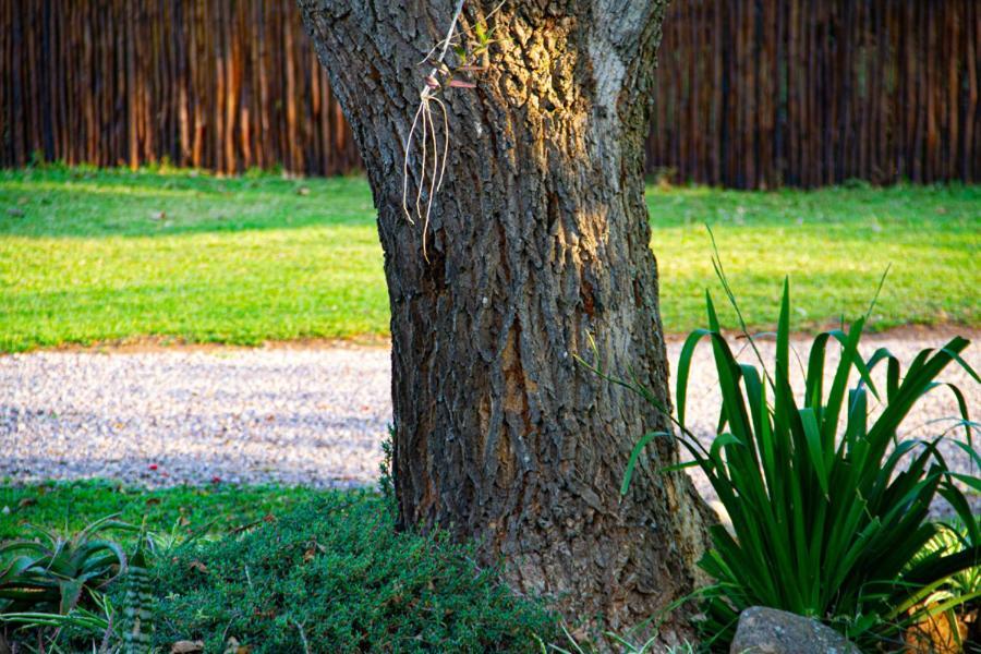 Kangelani Lodge Hillcrest Dış mekan fotoğraf